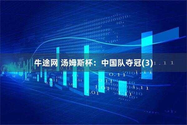 牛途网 汤姆斯杯：中国队夺冠(3)